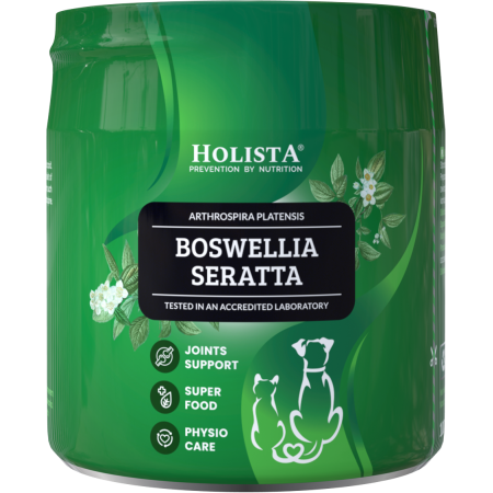 Boswellia serrata w postaci ekstraktu dla psa i kota