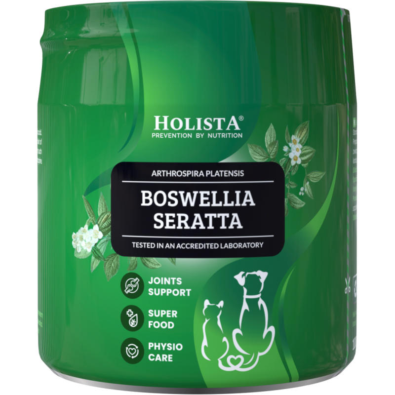 Boswellia serrata w postaci ekstraktu dla psa i kota