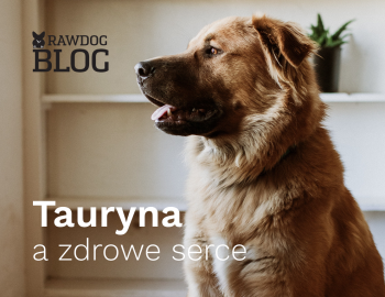 Rola tauryny w utrzymaniu zdrowia serca